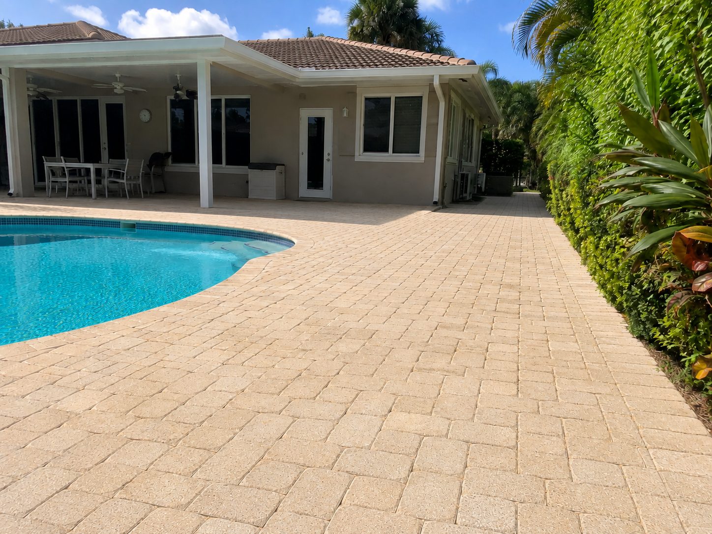 Pool deck pavers after mold and algae removal — clean surface